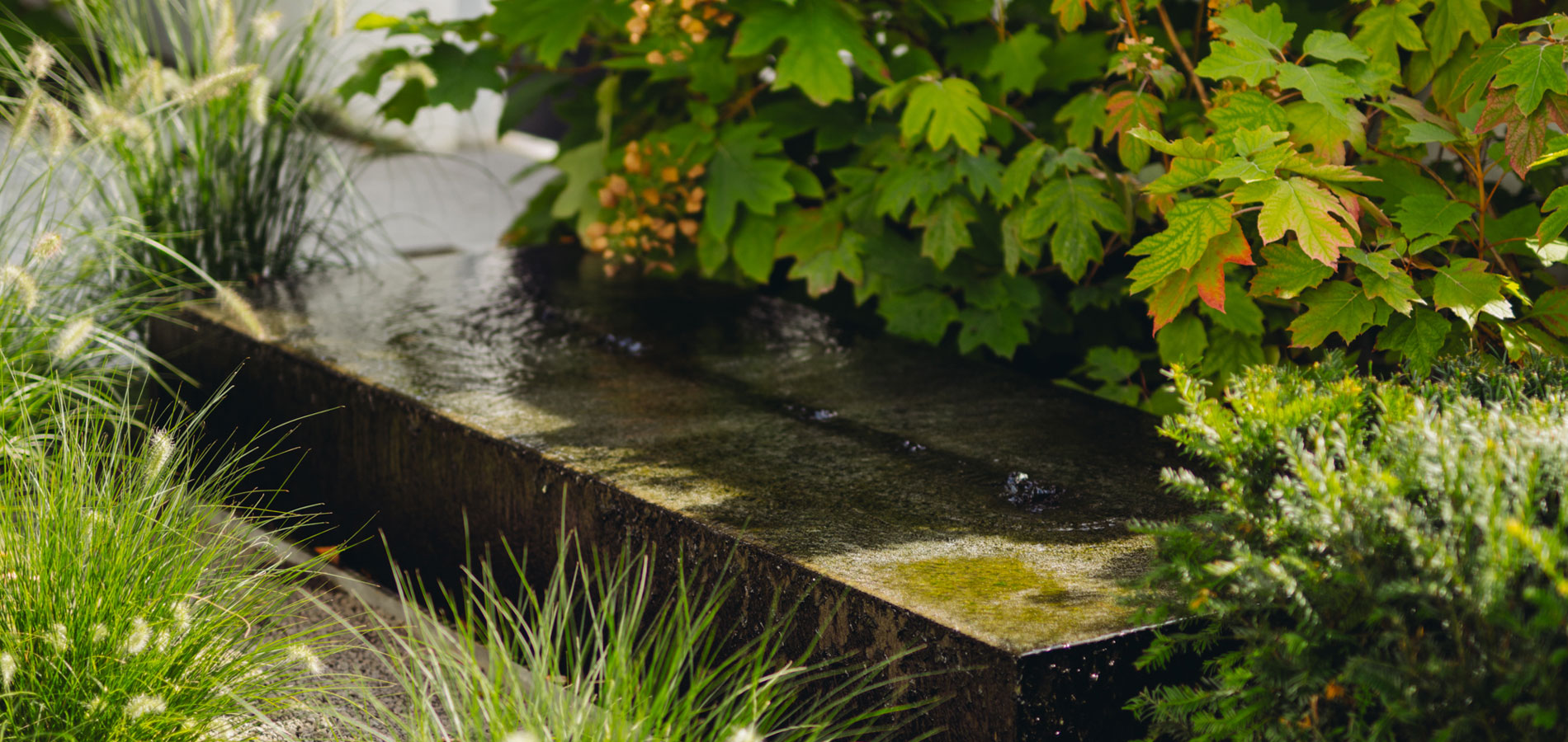 Gartenhof K�sters - Privatgarten D�sseldorf VIIII