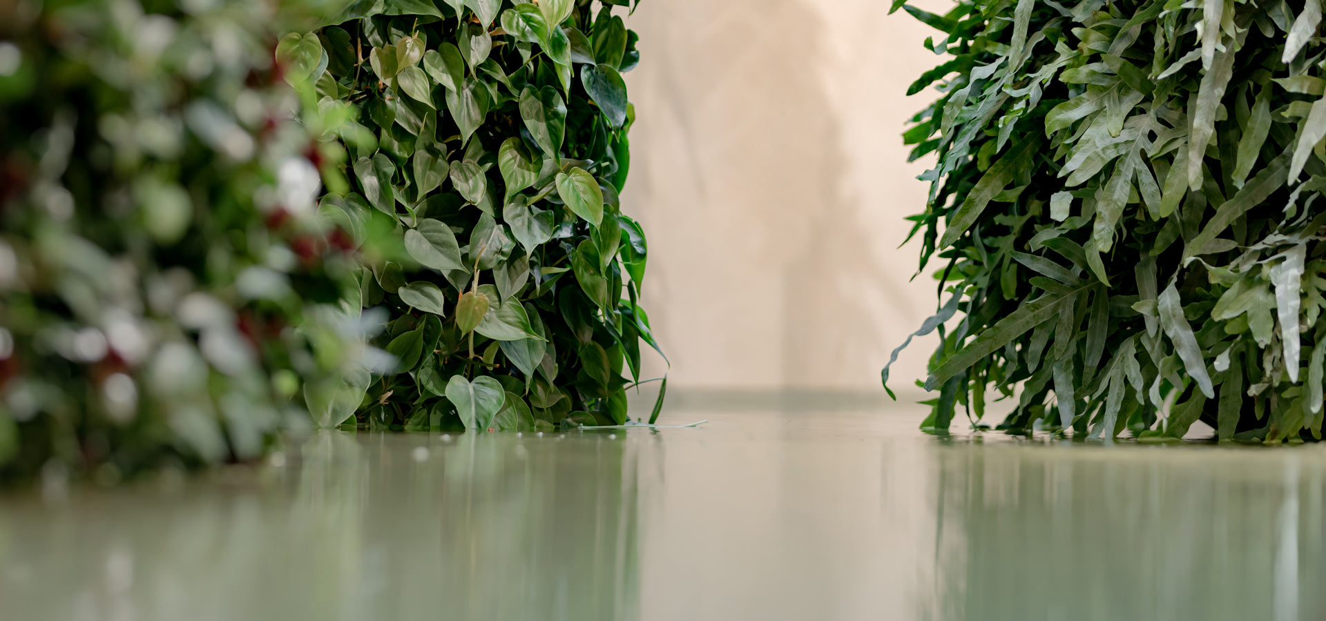 Gartenhof K�sters - Carolus Thermen