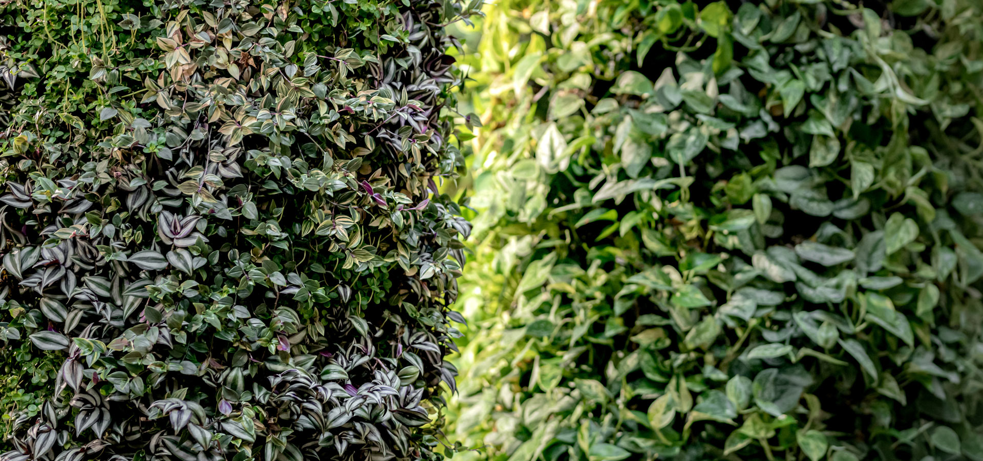 Gartenhof K�sters - Carolus Thermen