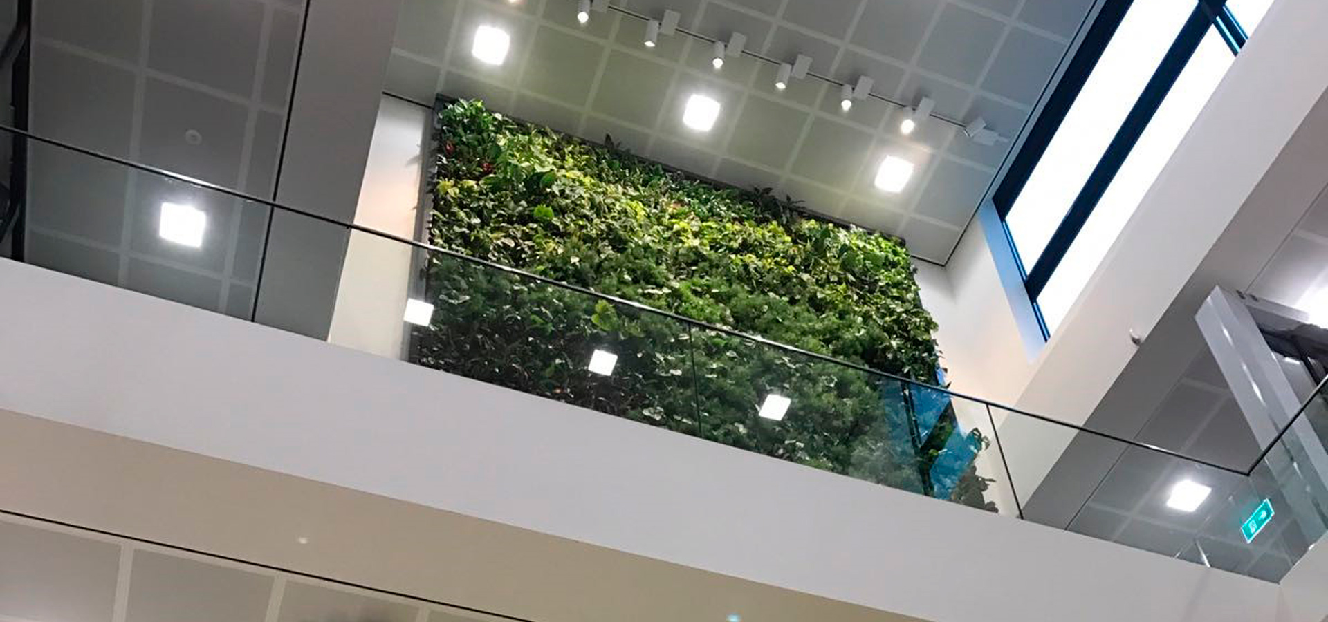 Gartenhof K�sters - Indoor-Wandbegr�nungen